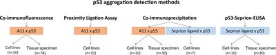 A comparison of four technologies for detecting p53 aggregates in ovarian cancer